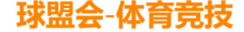 球盟会股份科技有限公司 官方标识