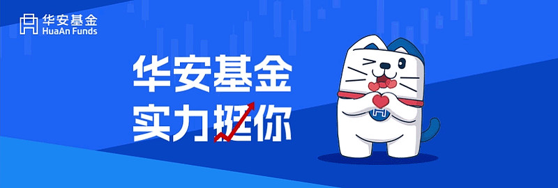 流量、热血、逆袭和梦想！被浙BA改变的普